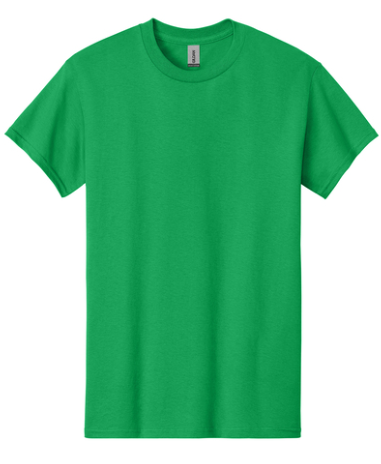 Jag Strong Gym: T-Shirt - D02 - Gildan 5000 - No Money No Muscle (2 Locations)